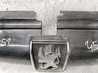 9616258477 Решетка радиатора Peugeot 406 Арт 68713_2000001307285, вид 3