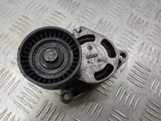 0802410121 Натяжитель ремня генератора Renault Espace 4 Арт 1101654, вид 1