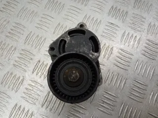 0802410121 Натяжитель ремня генератора Renault Espace 4 Арт 1101822, вид 1