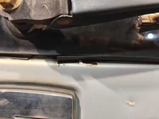  Крышка багажника (дверь 3-5) Seat Alhambra 1 restailing Арт 95776213, вид 8