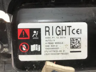 1077826-00-D,1083350-00-E,1143753-00-A Подушка безопасности коленная Tesla model 3 Арт 99477610, вид 4