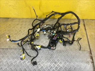 42789129 проводка Chevrolet TrailBlazer 3 Арт 1017-13