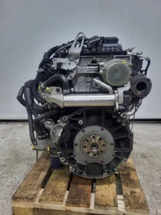 CVR5 Двигатель Ford Transit 4 Арт 3906-63419771, вид 2