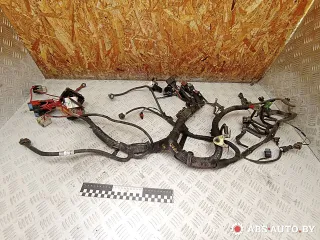  Проводка двигателя Renault Kangoo 2 Арт A28500, вид 1
