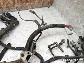  Проводка двигателя Renault Kangoo 2 Арт A28500, вид 3