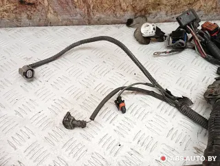  Проводка двигателя Renault Kangoo 2 Арт A28500, вид 5
