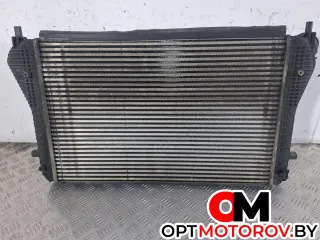 1K0145803BN, 1K0145803 интеркулер Skoda Octavia A5 restailing Арт 31790, вид 1