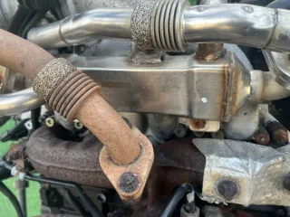 038131513C Радиатор EGR Volkswagen Sharan 1 restailing Арт 95819387, вид 1