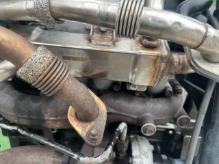038131513C Радиатор EGR Volkswagen Sharan 1 restailing Арт 95820958, вид 1