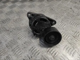 0802410121 Натяжитель ремня генератора Renault Laguna 2 Арт 89629, вид 1