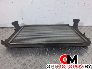 3C0145805P, 3C0145805 интеркулер Volkswagen Passat B6 Арт 31383, вид 2