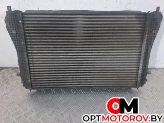 3C0145805P, 3C0145805 интеркулер Volkswagen Passat B6 Арт 31383, вид 5