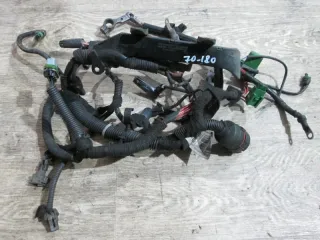 Проводка двигателя Opel Zafira A 2.2л DTi Арт 70-180, вид 1
