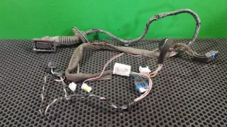 8200217371 Проводка двери задней правой Renault Megane 2 Арт 96649129, вид 1