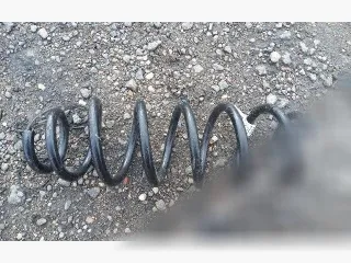 104437900 Пружина передняя Tesla model 3 Арт 73541055, вид 1