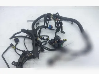 9631212480 Проводка двигателя Citroen Xsara Picasso 2.0л Арт 101831813, вид 1