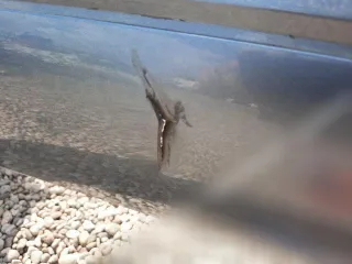  Бампер задний Peugeot 307 Арт 110038091, вид 2