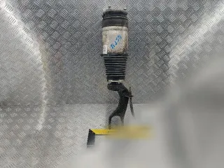 102736100G Пневмостойка передняя Tesla model X Арт 146568987, вид 1