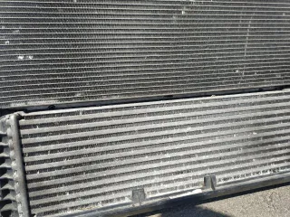 17428472314, 17118578142, 64539389411 Кассета радиаторов BMW X3 G01 Арт min96711673, вид 5