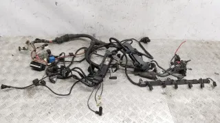  Проводка двигателя BMW 7 E65/E66 3.0л TDi Арт 68795_2000001307662, вид 1
