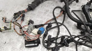  Проводка двигателя BMW 7 E65/E66 3.0л TDi Арт 68795_2000001307662, вид 2