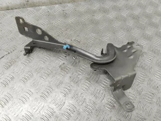 654000004R Петля капота правая Renault Scenic 3 Арт 56124_2000001307687, вид 1