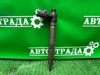 9687454480 Форсунка топливная Land Rover Evoque 1 Арт CP20065, вид 1