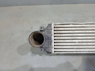 6600001987 Интеркулер Geely Coolray Арт 102739, вид 5