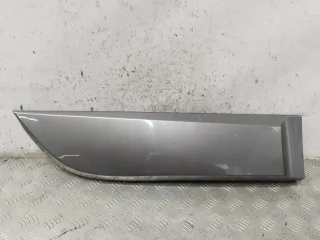 828760009R Молдинг двери задней правой Renault Scenic 3 Арт 28441_2000001307712, вид 1