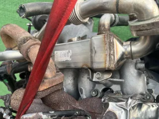 038131513 Радиатор EGR Volkswagen Sharan 1 restailing Арт 96735182, вид 1