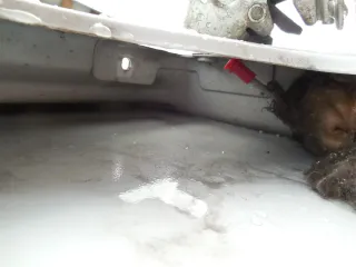  Дверь задняя распашная правая Ford Transit 3 restailing Арт 62098, вид 13