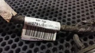 9807917680, 426021 07 Проводка двери задней правой Peugeot 308 2 Арт 96958728, вид 5