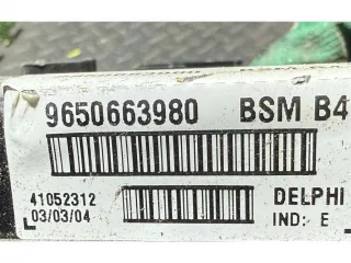 9650663980 Блок предохранителей Peugeot 307 Арт 58559, вид 7