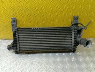 144615X00A Интеркулер Nissan Pathfinder 3 Арт 214643, вид 1