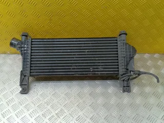144615X00A Интеркулер Nissan Pathfinder 3 Арт 214643, вид 2