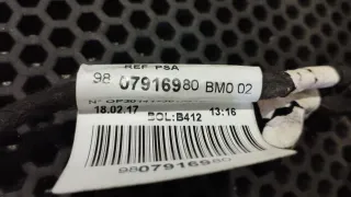 426161 07, 96 079169 80 Проводка двери передней левой Peugeot 308 2 Арт 97004556, вид 8