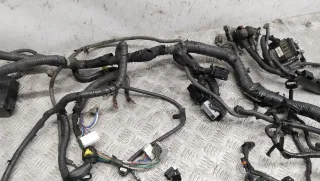  Проводка двигателя Nissan Qashqai 2 1.6л DCi Арт 69152_2000001308614, вид 3