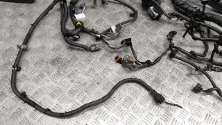  Проводка двигателя Nissan Qashqai 2 1.6л DCi Арт 69152_2000001308614, вид 4