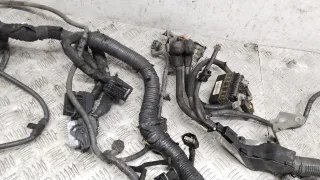  Проводка двигателя Nissan Qashqai 2 1.6л DCi Арт 69152_2000001308614, вид 5