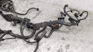  Проводка двигателя Nissan Qashqai 2 1.6л DCi Арт 69152_2000001308614, вид 7