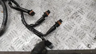  Проводка двигателя Nissan Qashqai 2 1.6л DCi Арт 69152_2000001308614, вид 8