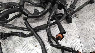  Проводка двигателя Nissan Qashqai 2 1.6л DCi Арт 69152_2000001308614, вид 9