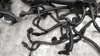  Проводка двигателя Nissan Qashqai 2 1.6л DCi Арт 69152_2000001308614, вид 10