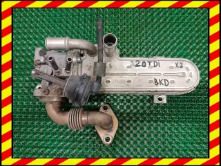 BKD,186053239787,036131513J Радиатор EGR Volkswagen Touran 1 Арт 97027686, вид 1