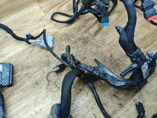 9807761480 Проводка двигателя Citroen Jumper 3 2.0л Арт 97214, вид 4