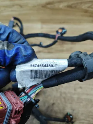 9674664480-C,9674664480 Проводка двигателя Peugeot 208 1.2л Арт 97212, вид 4