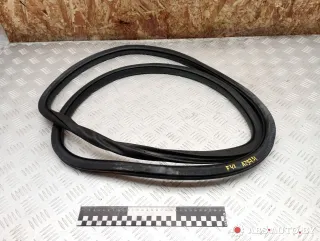 3C9867913B Уплотнитель двери задней левой Volkswagen Passat B6 Арт A29731, вид 1