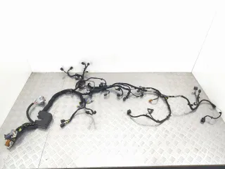 6h3q9h589 Проводка двигателя Land Rover Range Rover Sport 1 Арт 006218