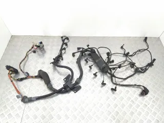7790770, 7796818, 12517796818 Проводка двигателя BMW X5 E53 Арт 009006, вид 1