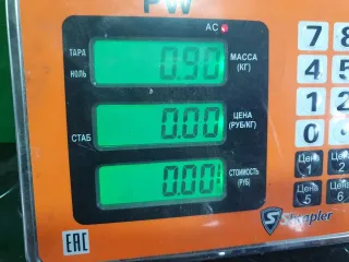 8E121946 Уплотнитель двери передней правой Honda Accord 8 Арт 97113526, вид 4